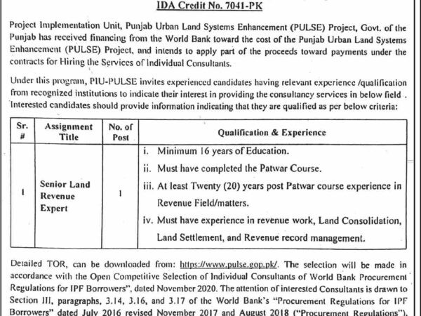 Senior Land Revenue Expert job at Punjab Land Records Authority