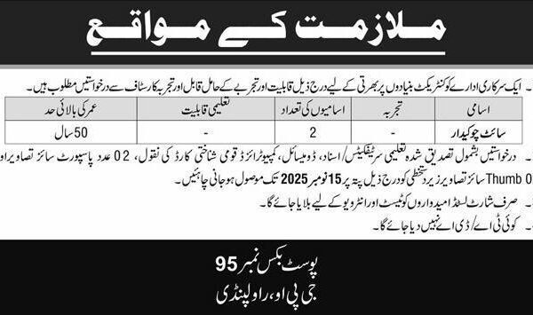 Government Jobs Rawalpindi 2025 Official Job Advertisement