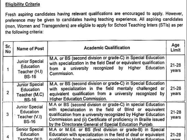 School Teaching Interns (STIs) Jobs 2026 Toba Tek Singh Official Advertisement 2026