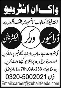 Zubair Feeds Jobs 2026 Official Advertisement 2026